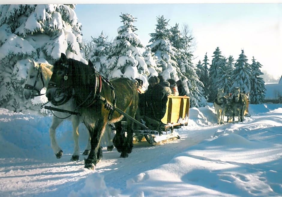 Hotel Berghof