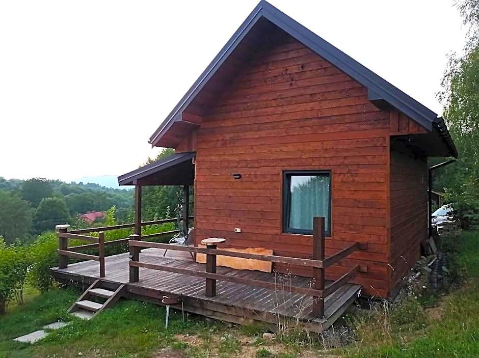 Marzeniec w Beskidzie Niskim