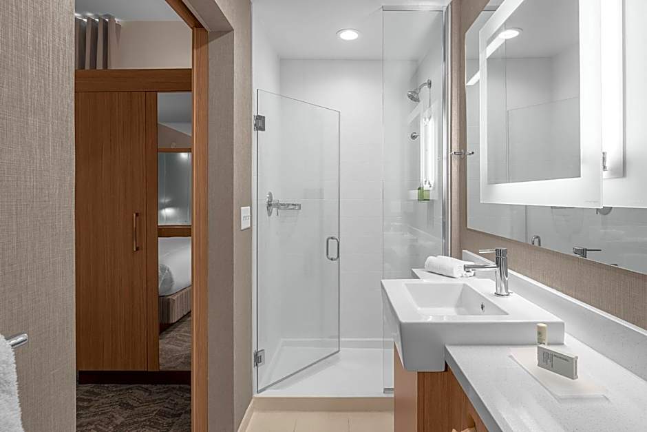 SpringHill Suites by Marriott Jackson