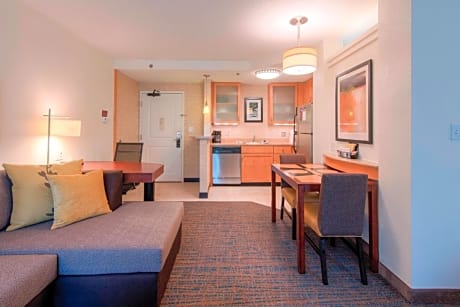 Executive Suite, 1 Bedroom (1 King Bed and 1 Double Sofa Bed)
