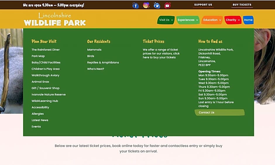 Lakeside Fishing Retreats