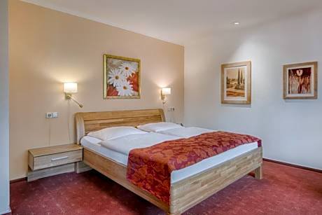Comfort Single Room