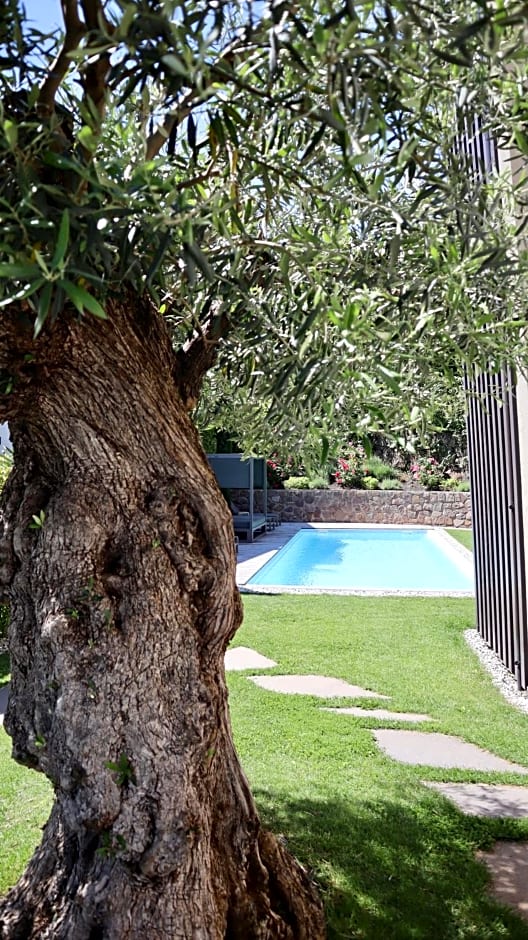 Appius Design Suites B&B - ADULTS ONLY