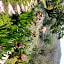 Pietrantica - Affittacamere con giardino NUOVA APERTURA a Trebiano -CITR