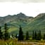 Denali Park Hotel