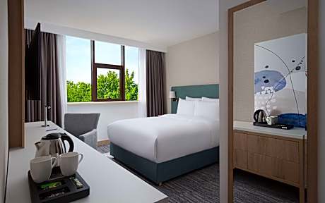 Queen Accessible Guest Room