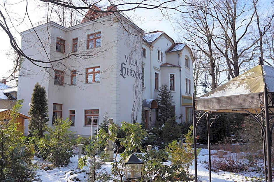 Hotel Villa Herzog
