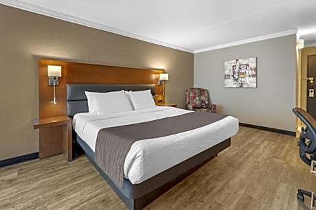 1 King Bed Non-Smoking Wi-Fi