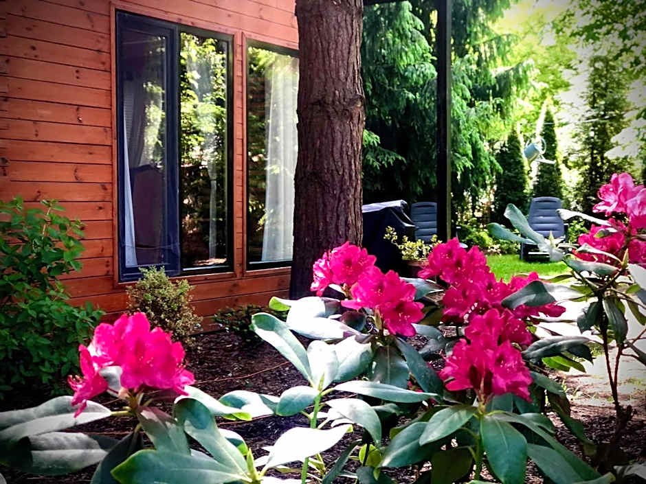 Domek w Długosiodle 2 sypialnie przy samym lesie