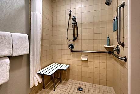 Suite, 1 Bedroom (Mobility/Hearing Accessible, Tub) (1 King Bed and 1 Double Sofa Bed)