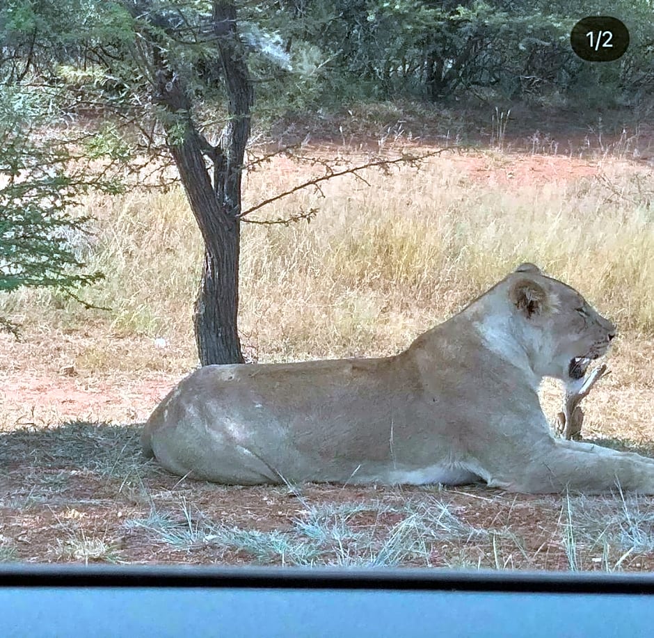 Muqurati Lodge - Dinokeng Game Reserve