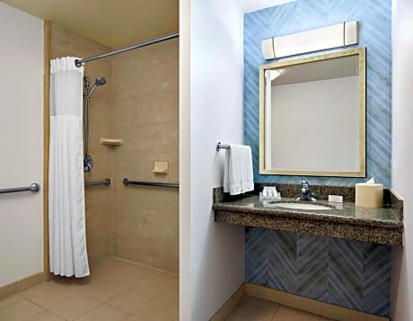 1 King Mobility Accessible W/ Roll In Shower