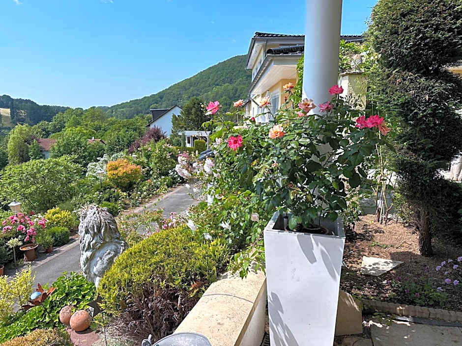 Villa Schaumburg - Boutique Hotel