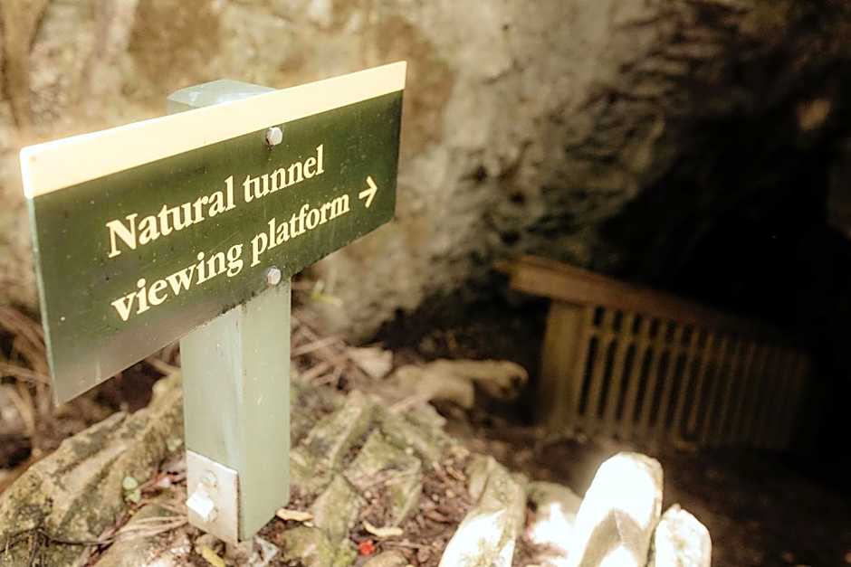 Waitomo Village Chalets home of Kiwipaka