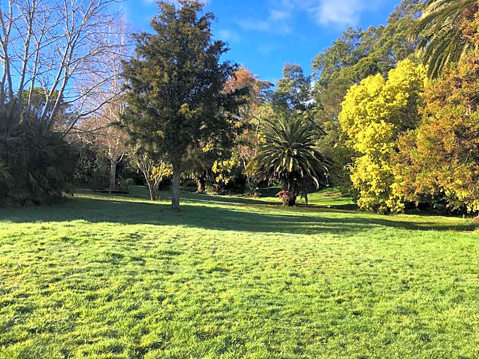 Te Puia Hot Springs Hotel