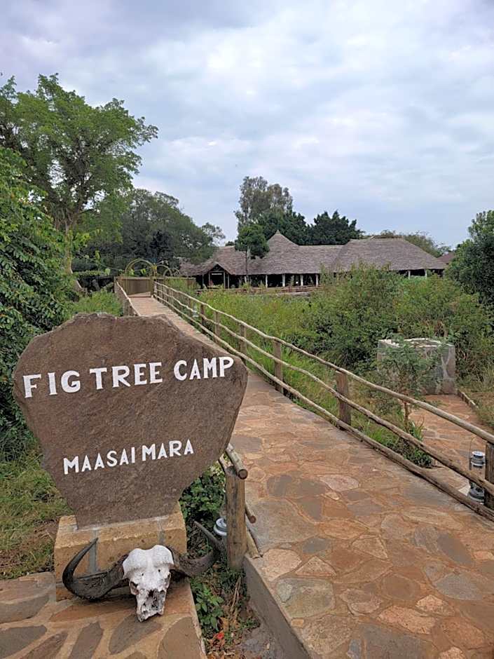 Fig Tree Camp - Maasai Mara