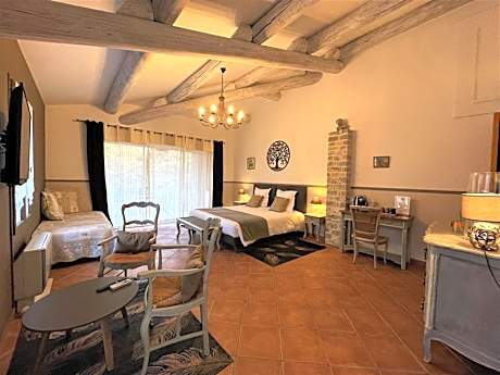 Double Room with Terrace