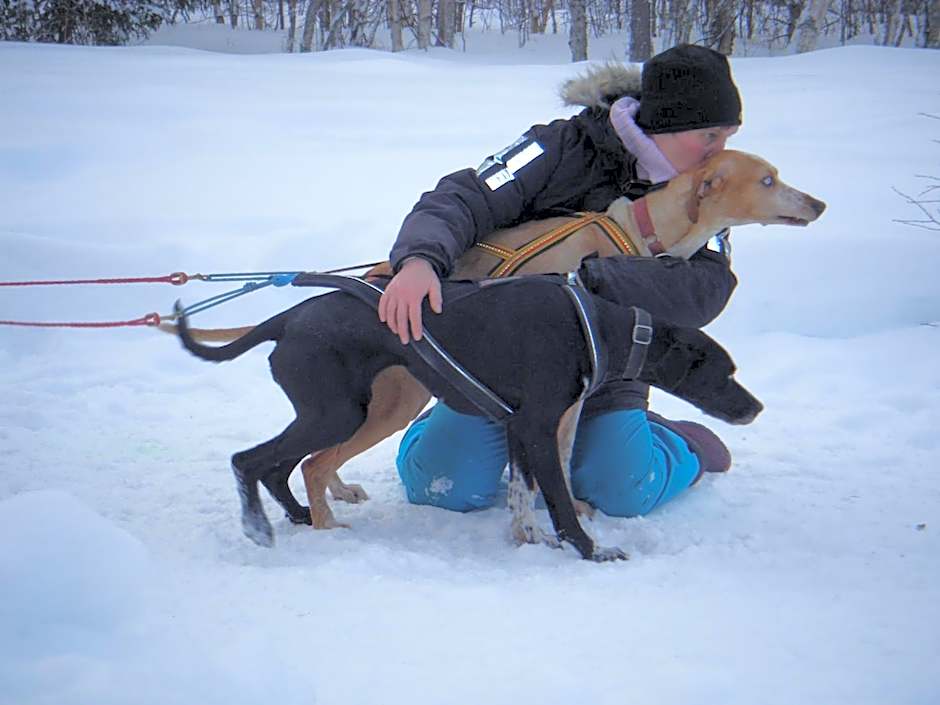 Gafsele Lappland Hostel
