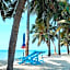 Sea Sand Trees