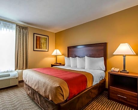 1 Queen Bed, Suite, Nonsmoking