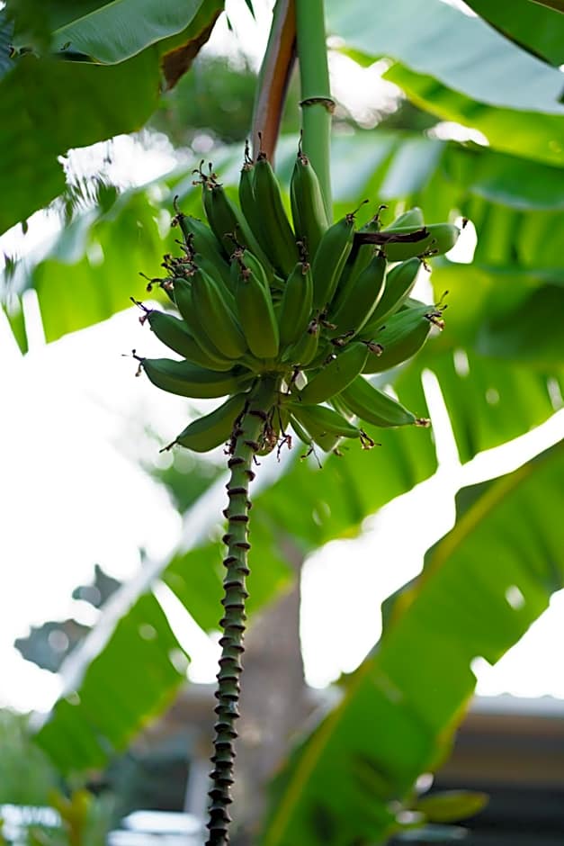 Rouda Bay Beach Hotel