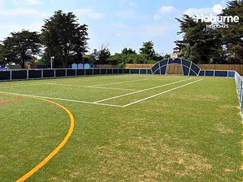 Hoburne park Bluebell10