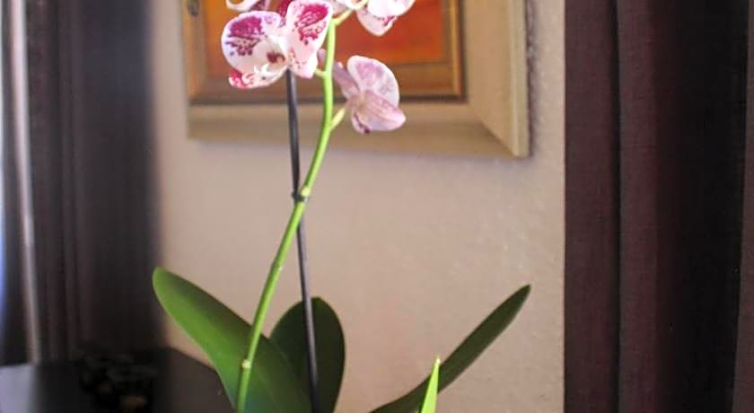 Une Chambre en Ville