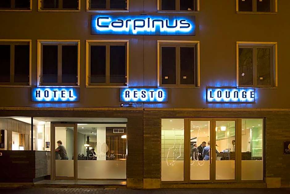 Hotel Carpinus