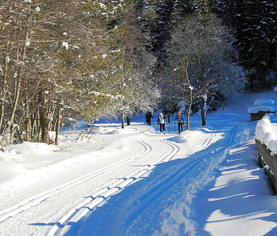 Alpen Gasthof Apartments Hohe Burg