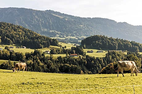 Hotel & Wirtschaft Wälderhof
