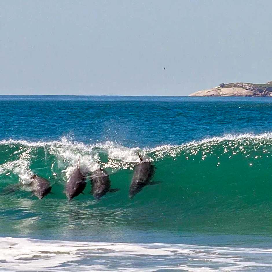 Resid. Clube Mar Grosso - Laguna - LAG706