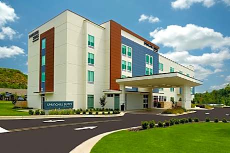 SpringHill Suites by Marriott Ellijay