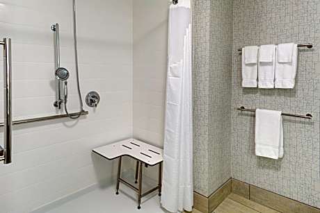 1 King Sofa Bed Mobility Accessible Transfer Shower