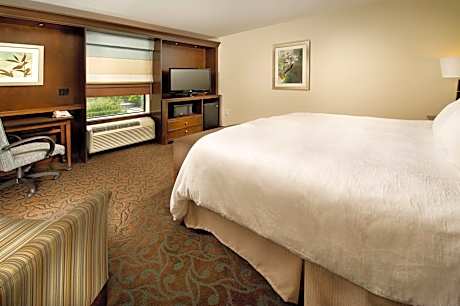 1 King Bed Nonsmoking