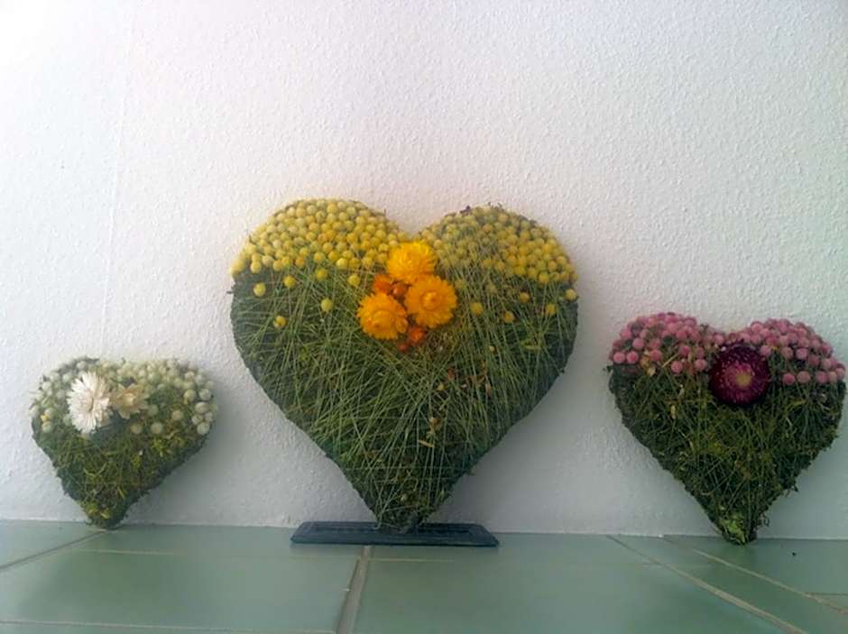 Pension und Apartment Edelweiß