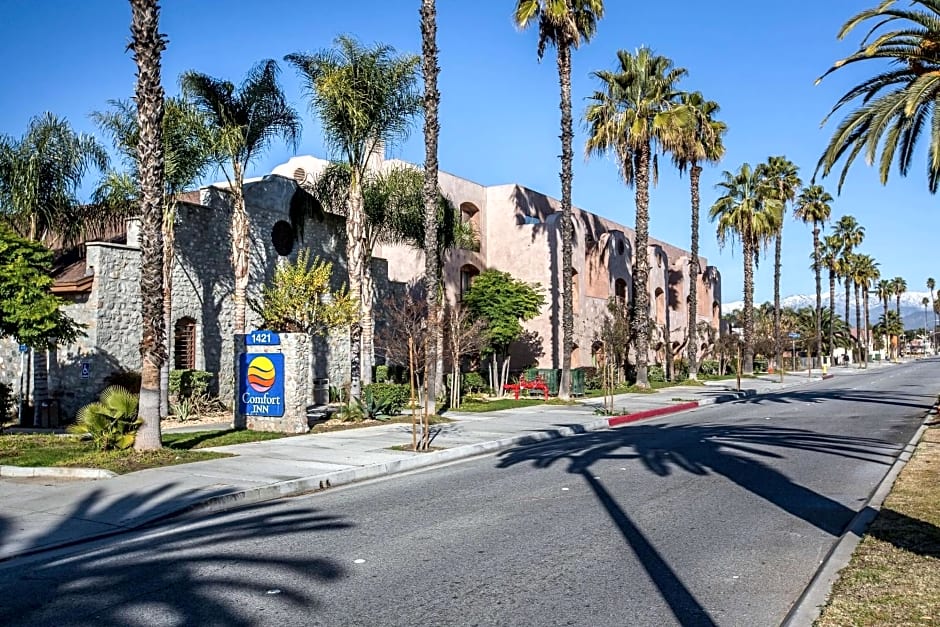 Comfort Inn Pomona Near Fairplex