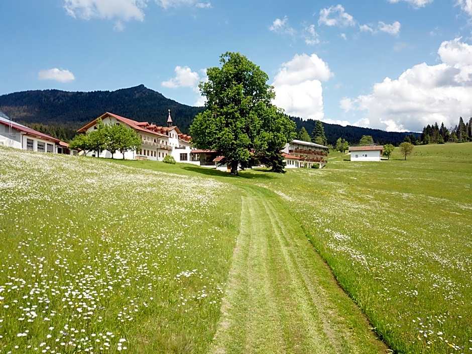 Osserhotel - B&B am Osser