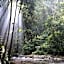 Gino's Place - Guest House & Jungle Trekking