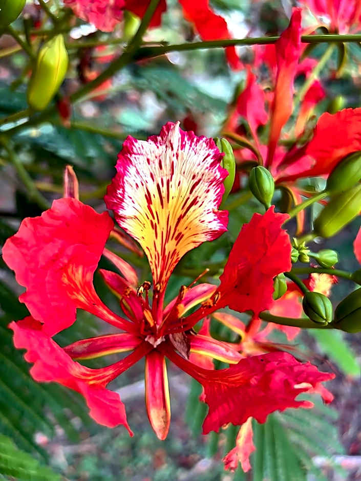 Domaine de l'Anse Ramier