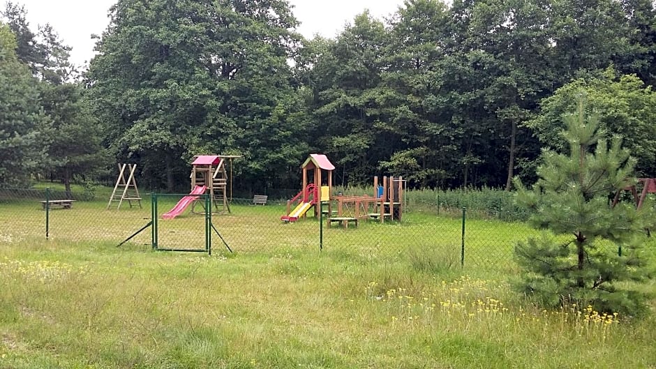 Dom letniskowy POŚRÓD KASZUBSKIEGO LASU