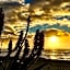 Cambria Shores Inn