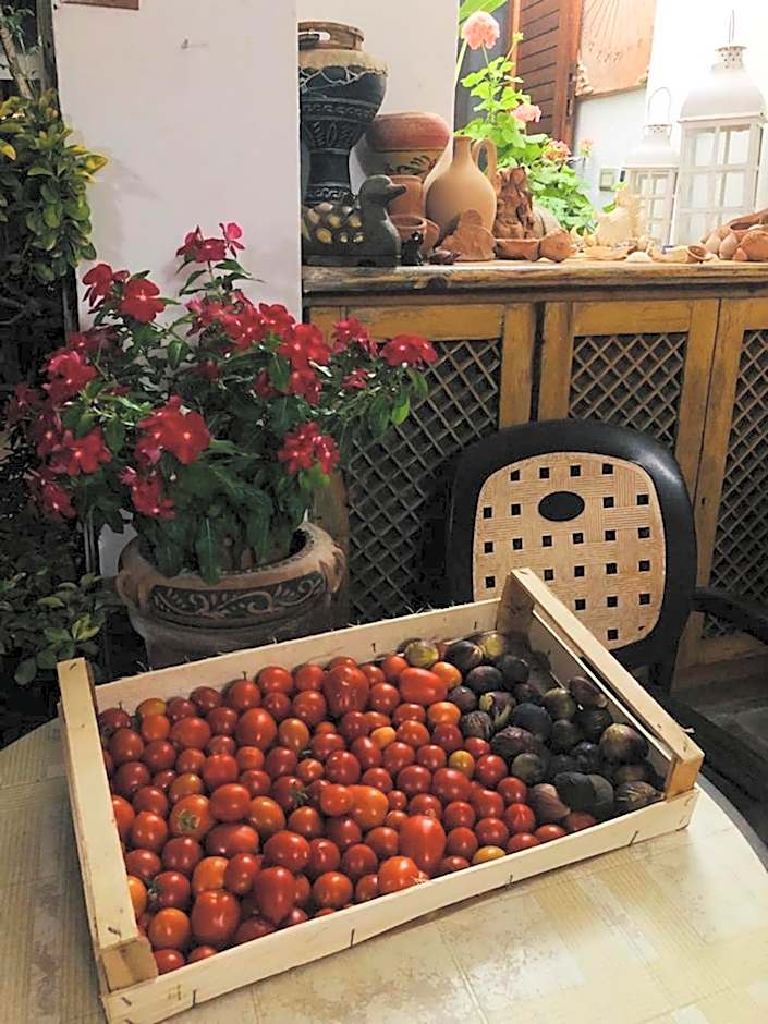 B&B Villa Anna Wunderbar