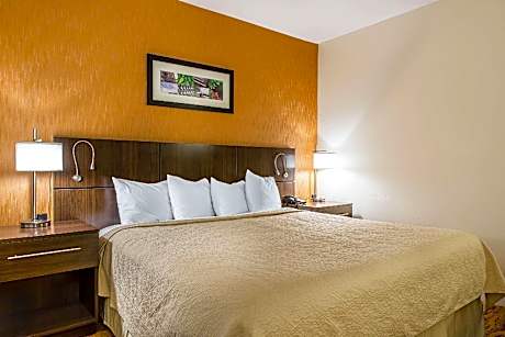 1 King Bed, Nonsmoking