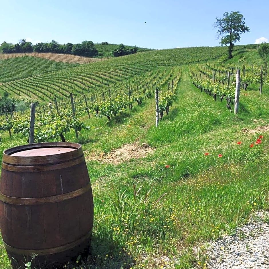 Cascina Valtignosa Camere Con Vigna