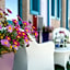 Hotel Luna Blu