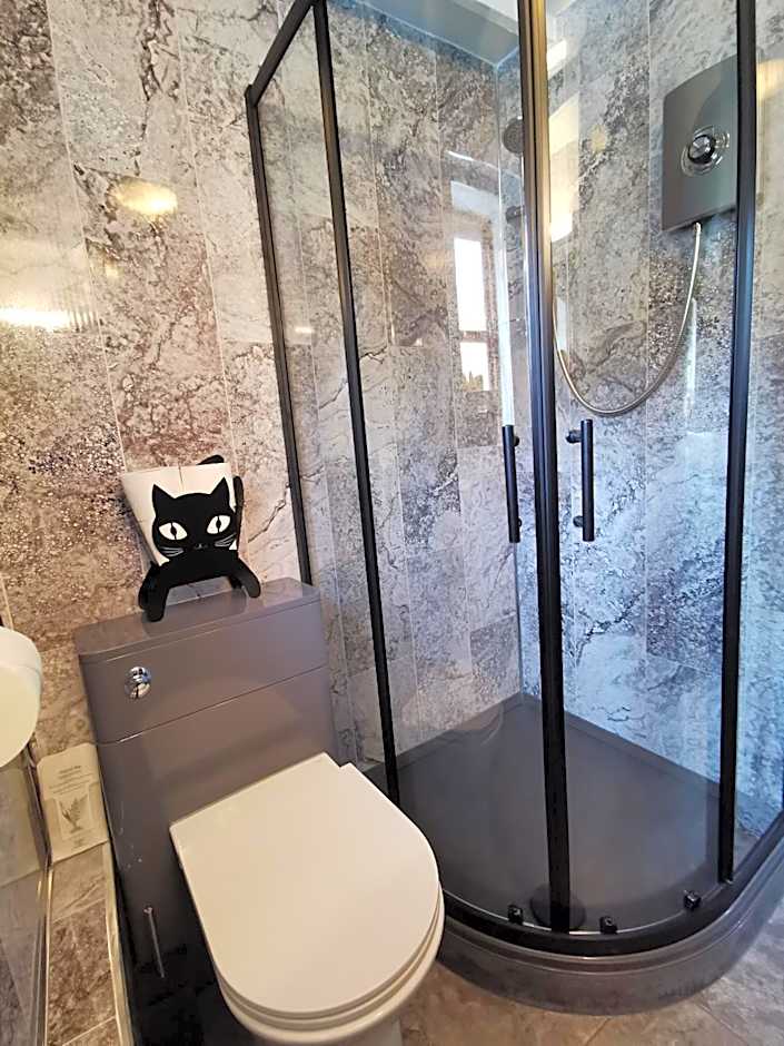 Dolweunydd Bed and Breakfast