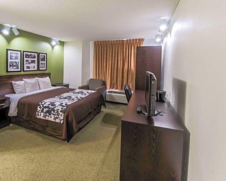 1 King Bed, Nonsmoking, Accessible