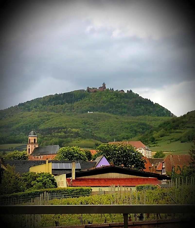 Hotel Munsch Restaurant & Wellness, Colmar Nord - Haut-Koenigsbourg