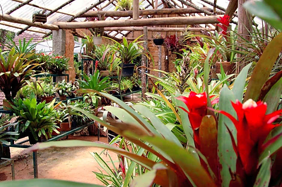 Casa da Colina Chalés