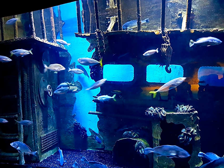 Granada City Alanya Luxury Appartment 800м от пляжа Клеопатра